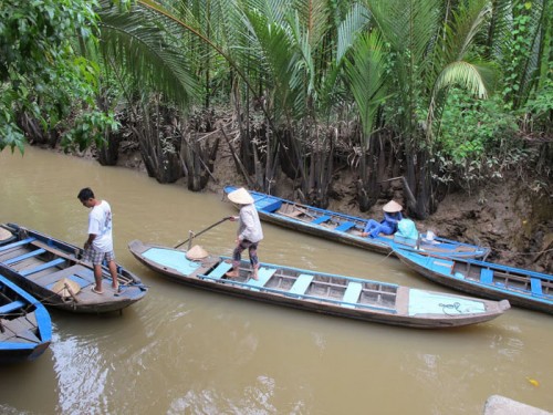 Về miền Tây chèo xuồng ba lá